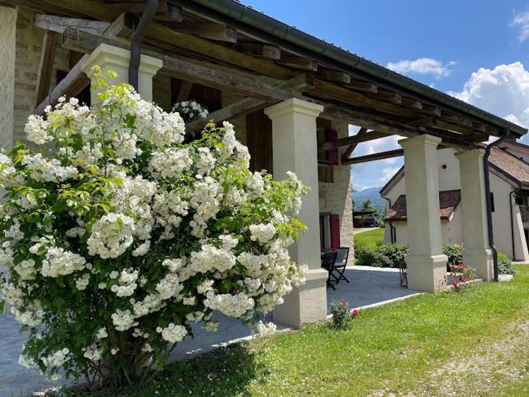 Apartment Fienile Chiaramada Belluno